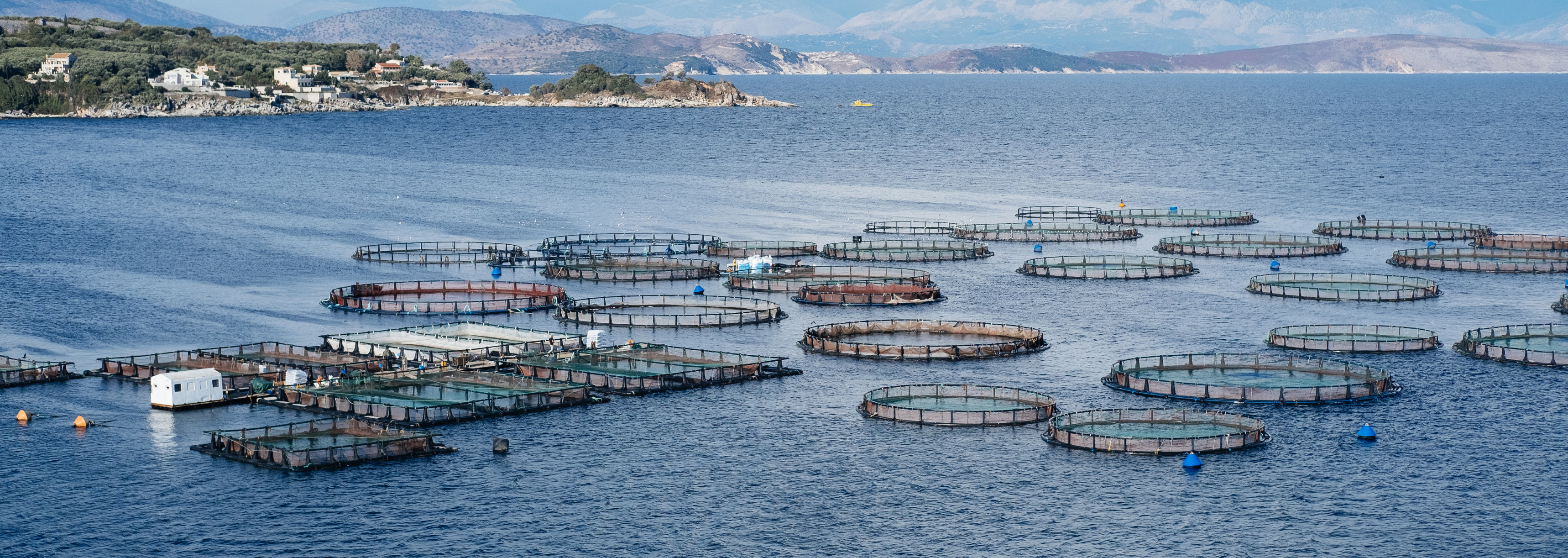 Offshore aquaculture containment pens across the sea
